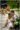 photographe-grossesse-famille-chartres